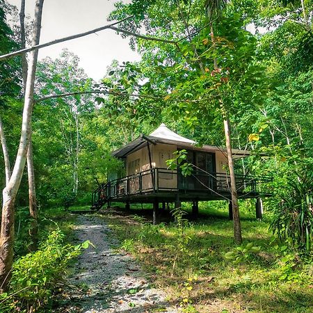 Anurak Community Lodge - Sha Plus Khao Sok National Park Экстерьер фото