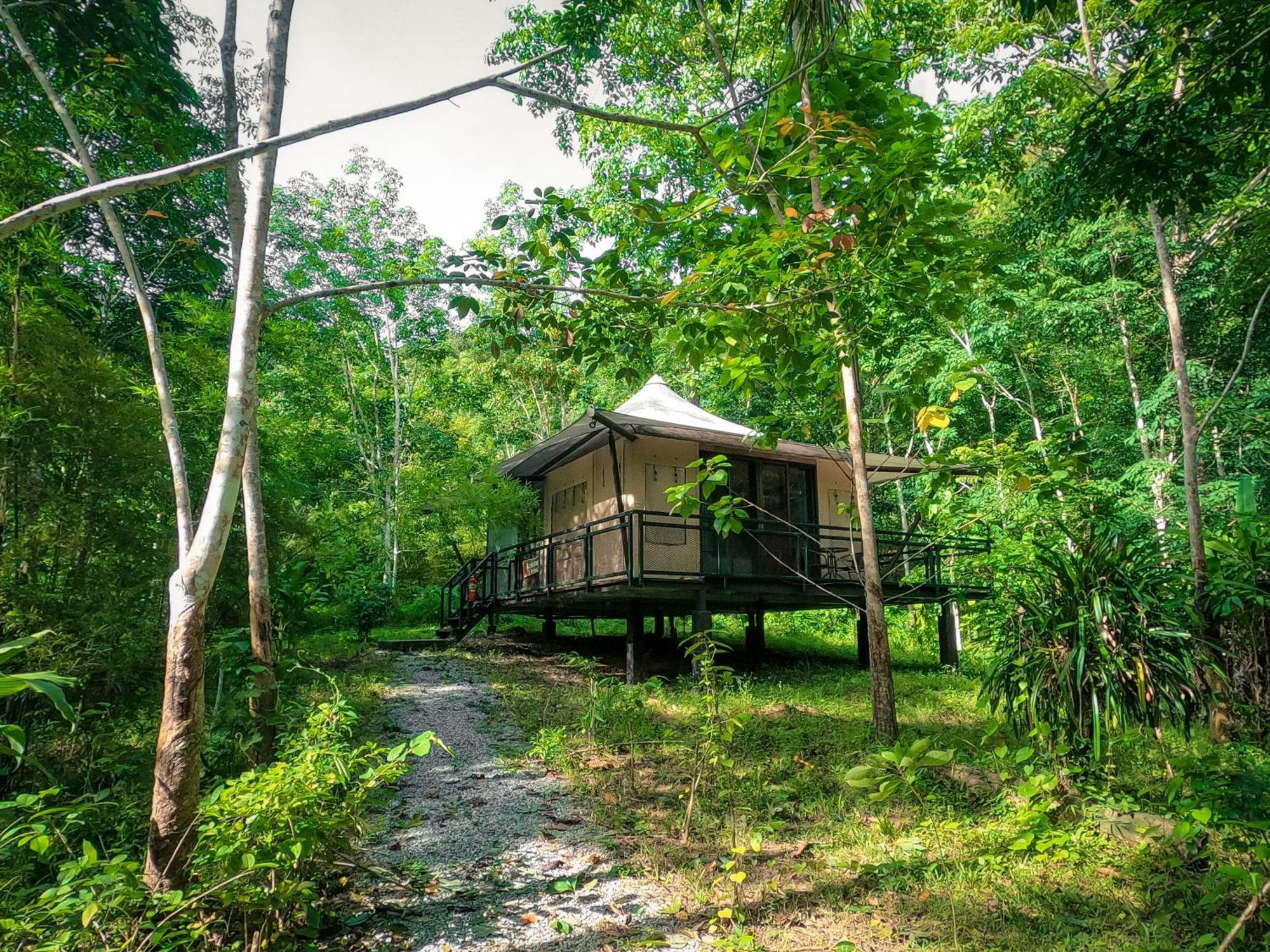Anurak Community Lodge - Sha Plus Khao Sok National Park Экстерьер фото